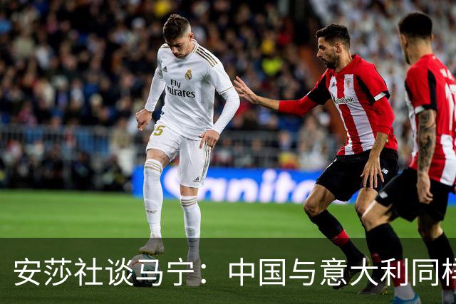 安莎社谈马宁：中国与意大利同样无缘世界杯，这位裁判被球迷追捧